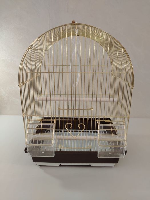 Попугаи. Волнистые