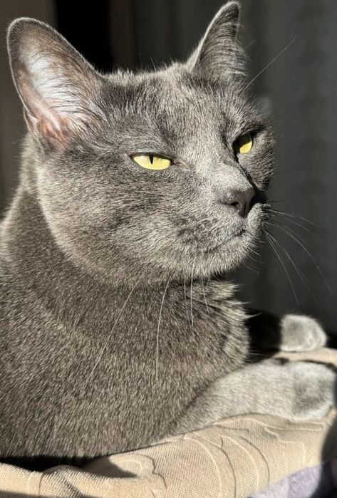 Дарим счастье, тепло, заботу