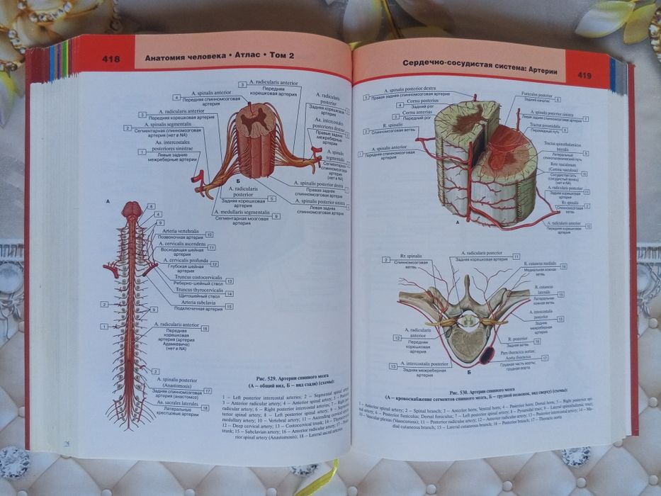 Atlas anatomiya sotiladi