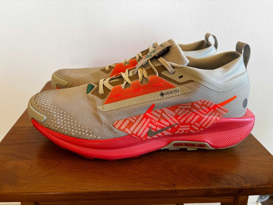 Nike Pegasus Trail Gore-Tex