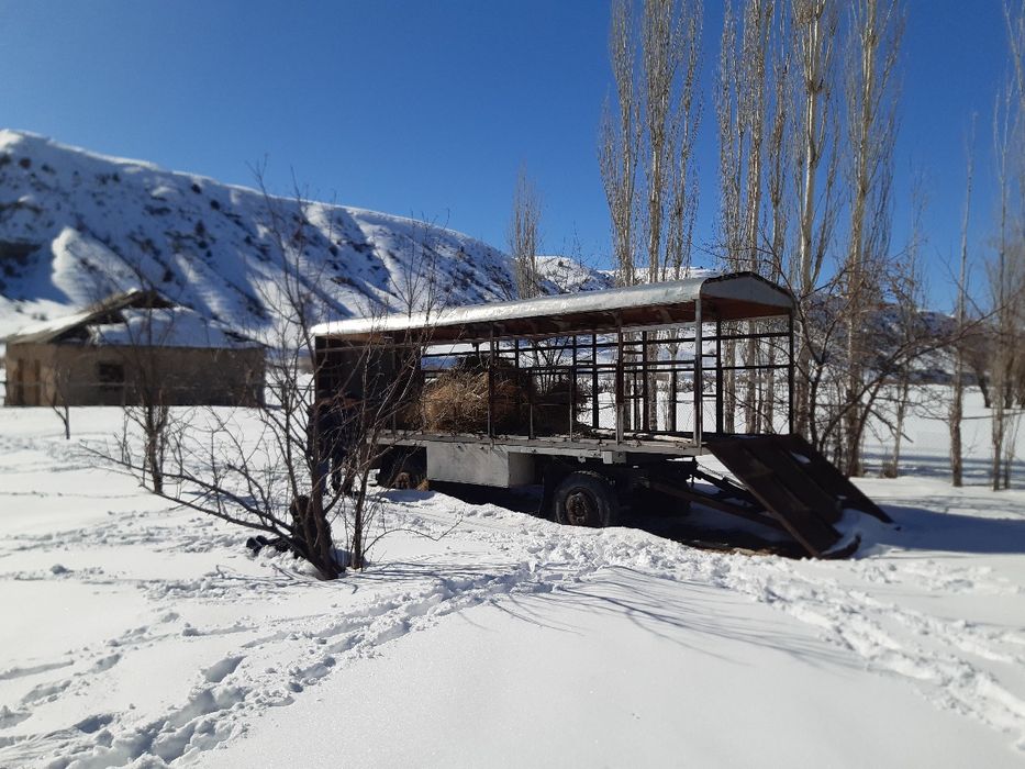 Пчелоприцеп, прицеп для пчёл