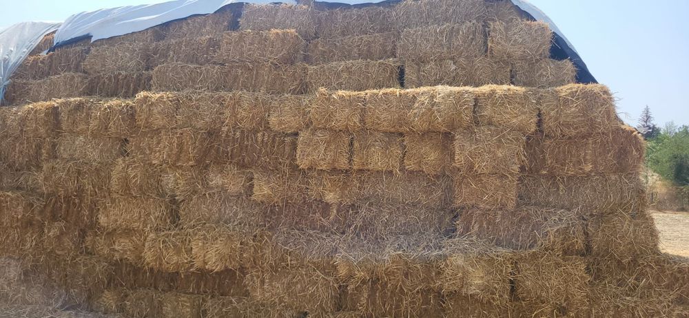 Boti de paie de grâu