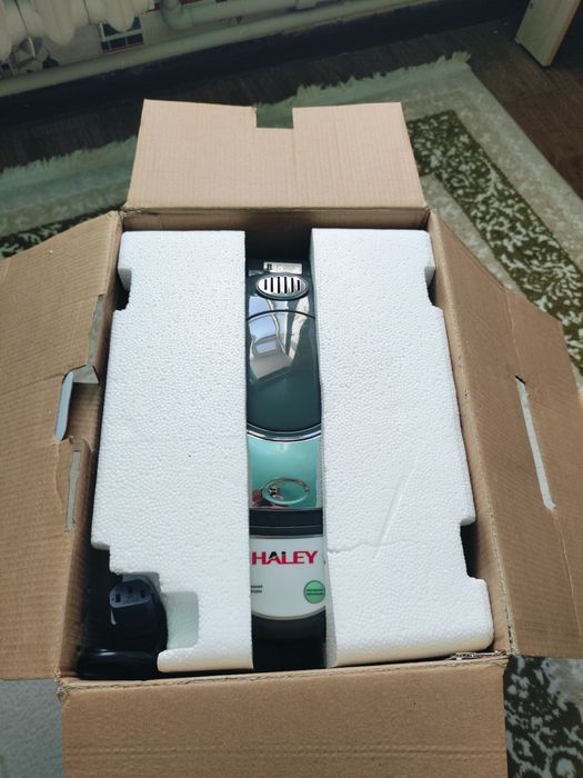 HALEY Electric Thermos