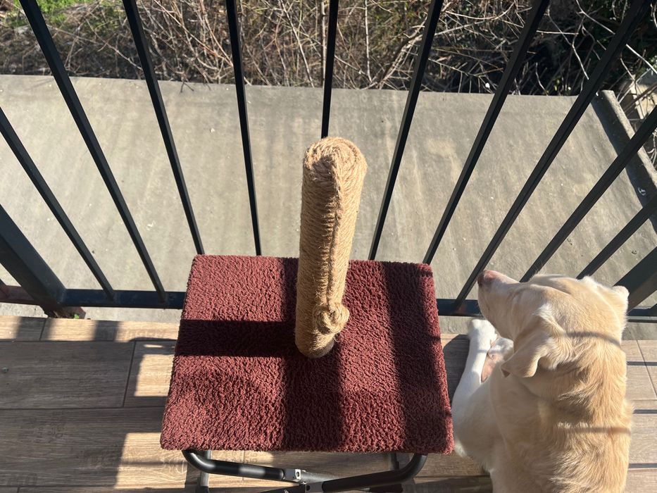 Драскалки за котки