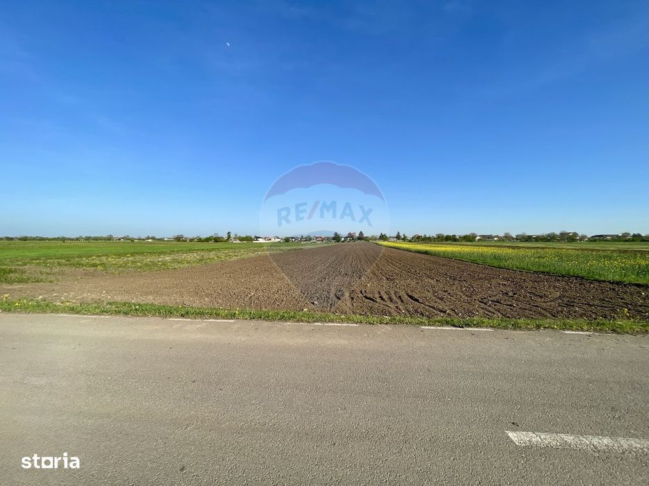Teren Intravilan 6.220 mp | Strejnicu, Strada Livezilor