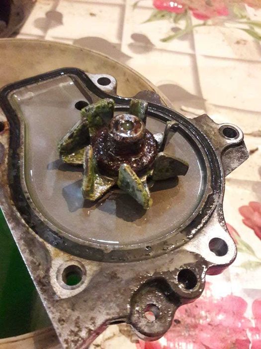 помпа для мотора  b20b оригинал.