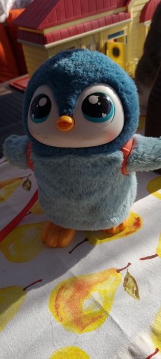 Pinguin - My little live  pet