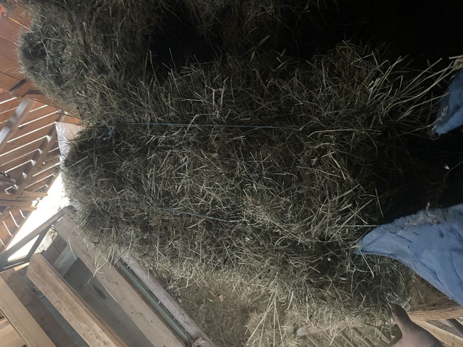 Baloți de fân și otavă