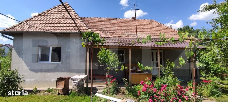 Casa cu 3 camere de vanzare, 80 mp, teren 2.323 mp, zona Iclandu Mare