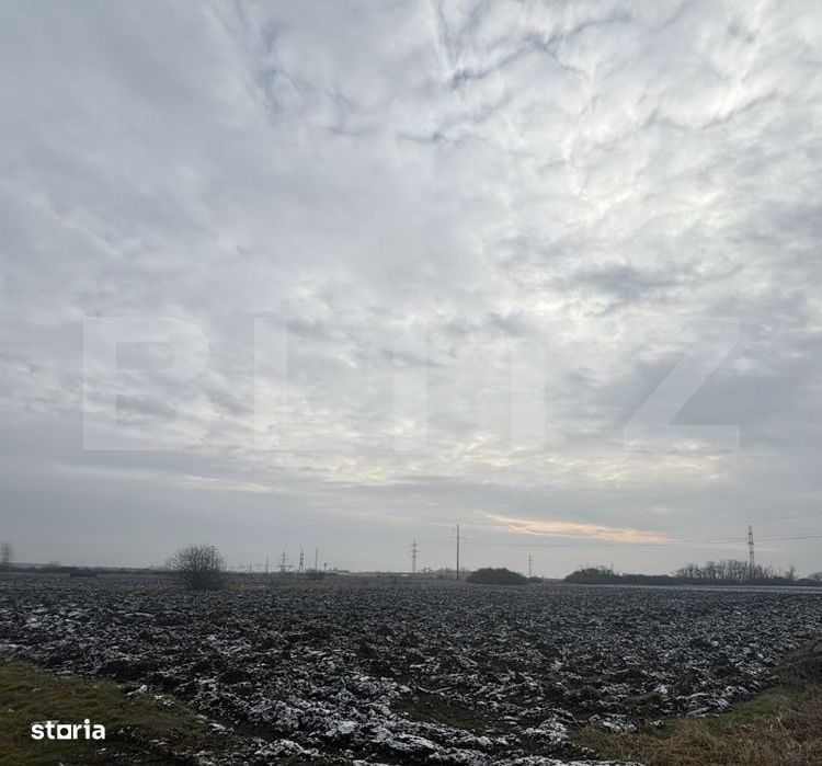 Teren de vanzare – Strada Balta Blonda, 2000 mp