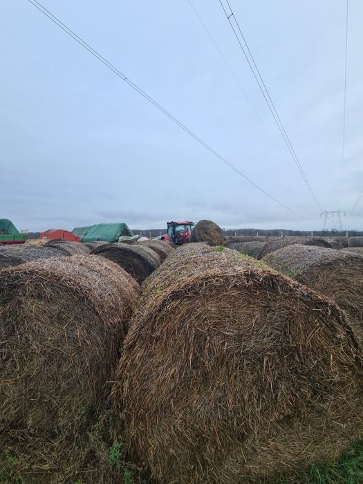 Vand baloti paie ORZ