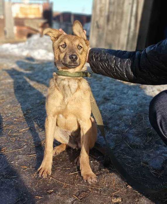 Малышке Броне нужен дом