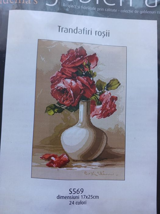 Diagrama pentru goblen Timișoara