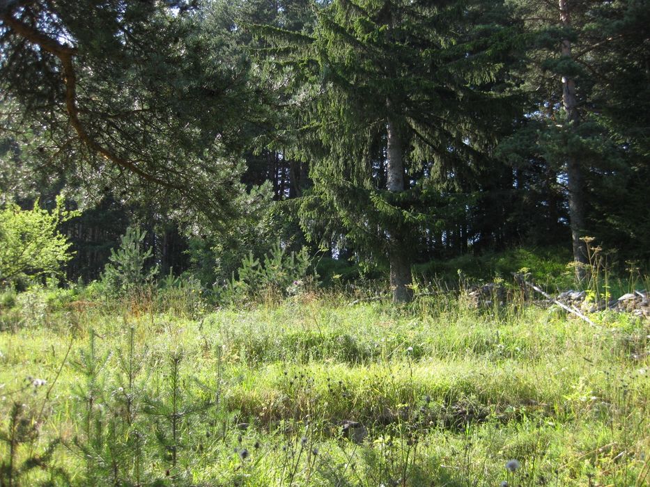 Продава се Парцел в Пловдив, Кючук Париж - 300 кв.м за 42 €/кв.м - Снимка #1