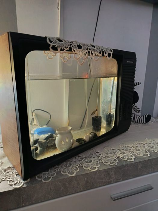 Acvariu retro,  antic