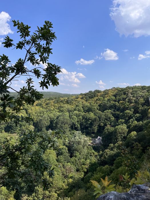 Мед-реколта 2025г.- букет- липа, акация и горски билки- /Пчелен прашец