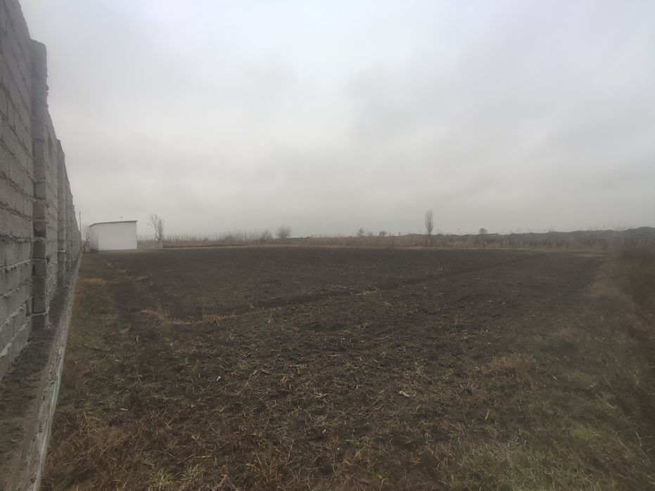 20 sotix 1 sotixgi 4 mingdan  2 xona uyi bor