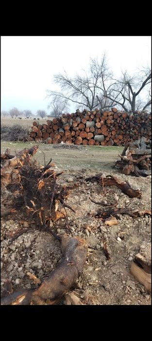 O'rik o'tinlar sotiladi