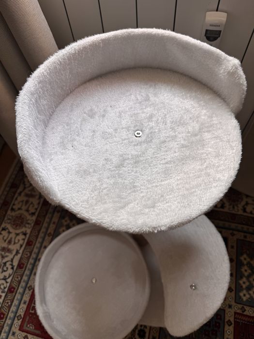 Котешка катерушка