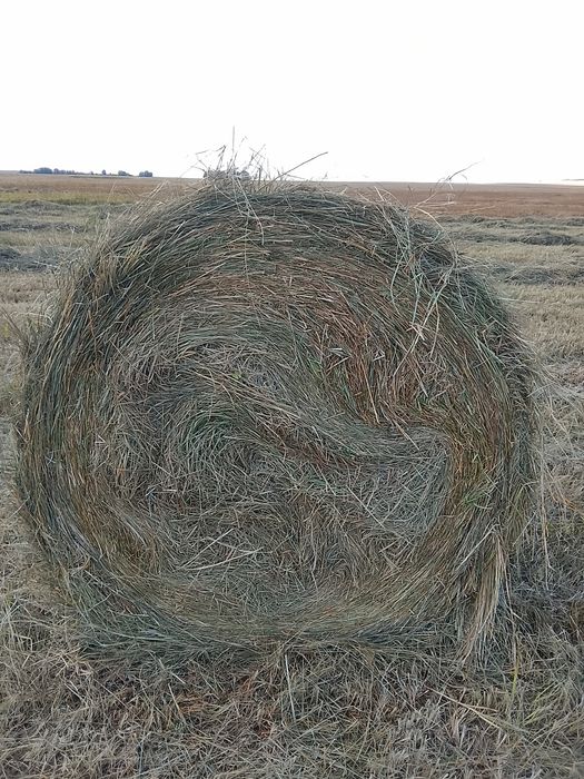 Продам сено. Разнотравье!