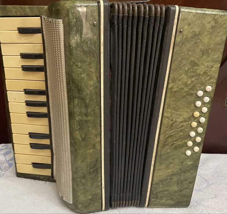 Acordeon Profesional cu 14 Bași