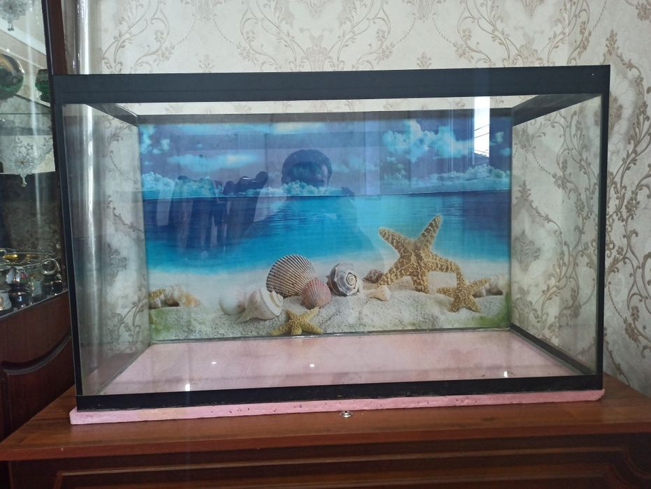 Akvarium sotiladi razmeri 90 .37. 55 soni 2 ta .