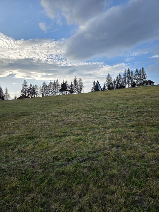Teren Piatra Fântânele pasul Tihuta