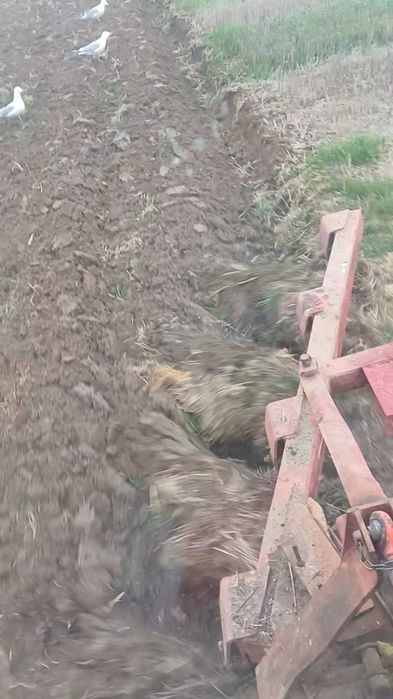 Плуг заветски 4х25