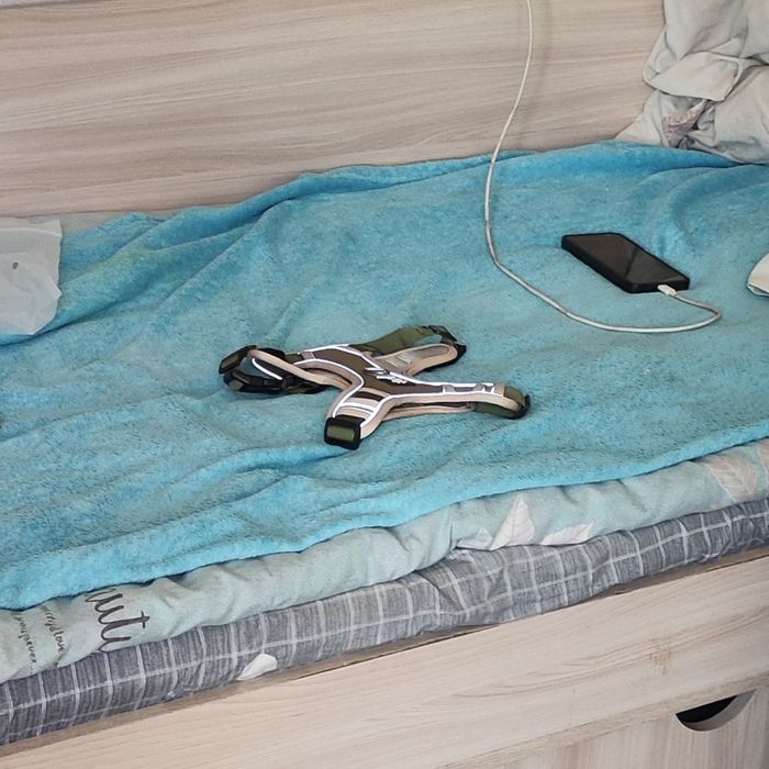 Шлейка размер: s