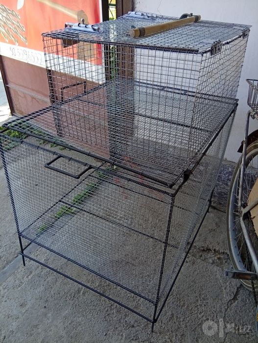 Продажа  клеток.