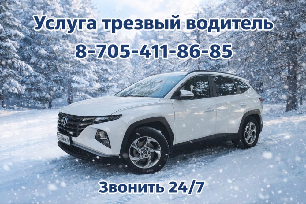 Трезвый водитель