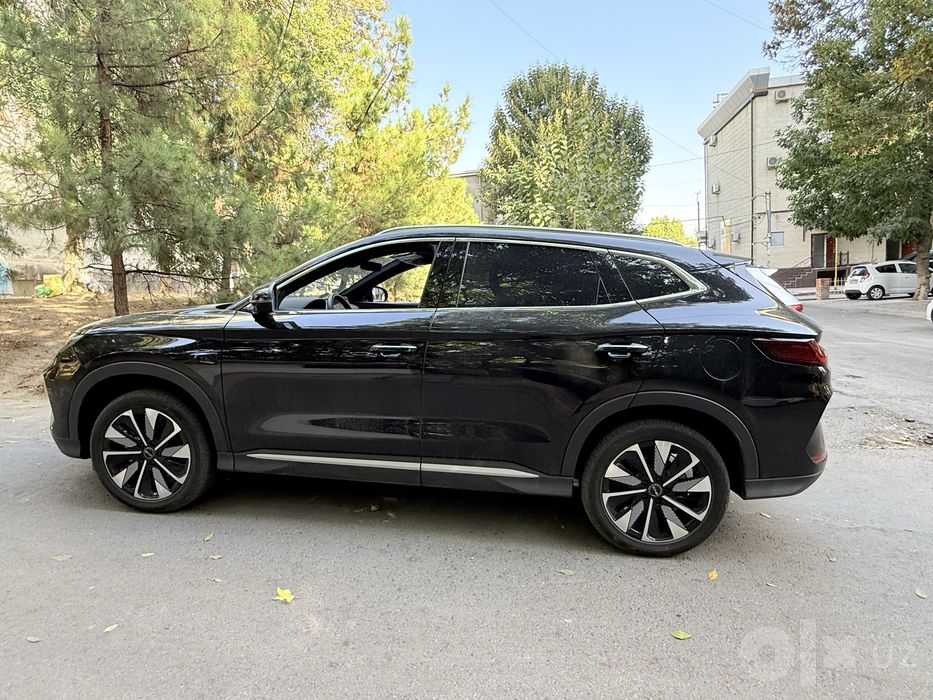 BYD Chempion Smart