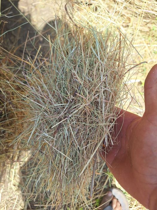 Гранули люцерна и Бали ливадно сено