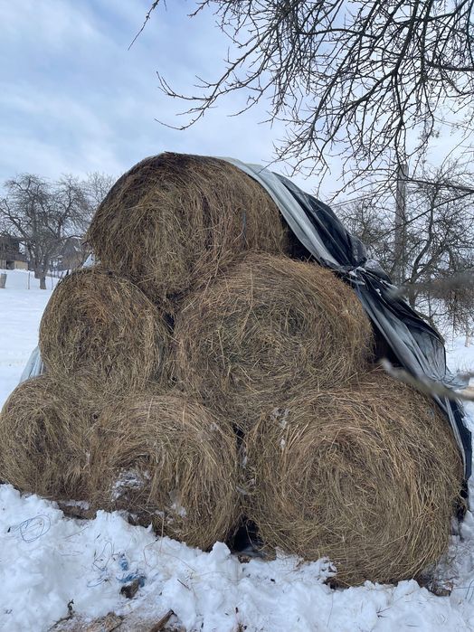 Baloți uscați de fân