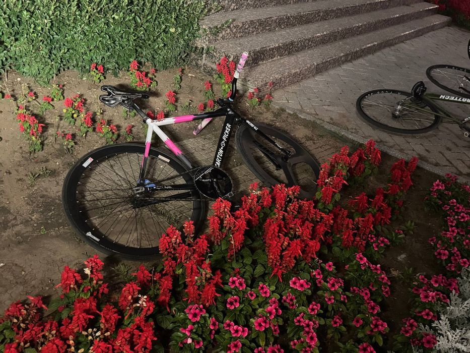 CartonPicker fixed gear