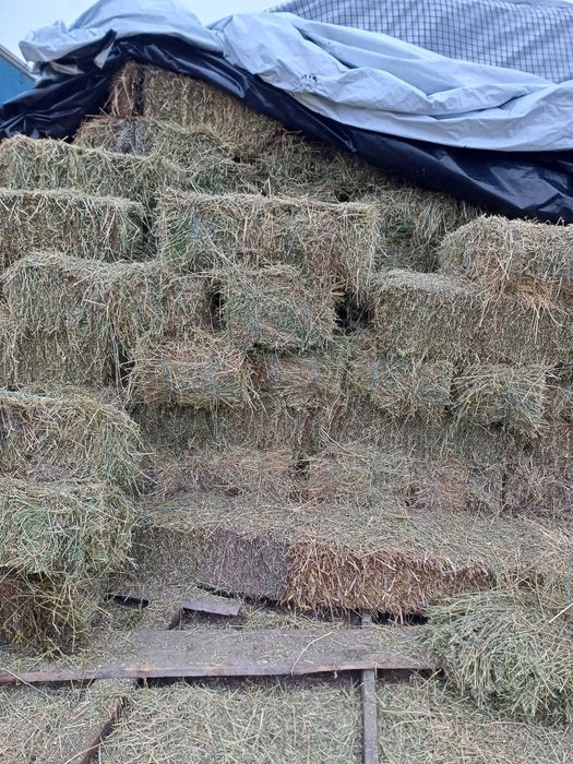 Baloti de fan, lucerna, paie si otava