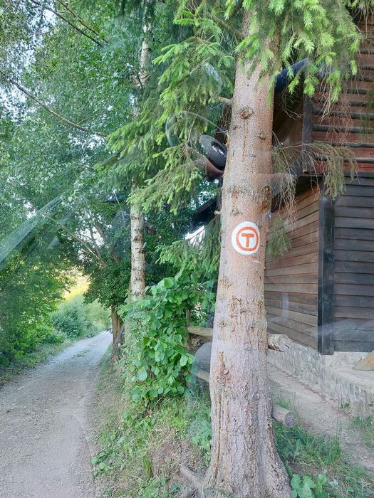 Teren intravilan 3.000 mp Bran – Predeluț | Via Transilvanica | Vedere Bucegi & Piatra Craiului | Autorizație