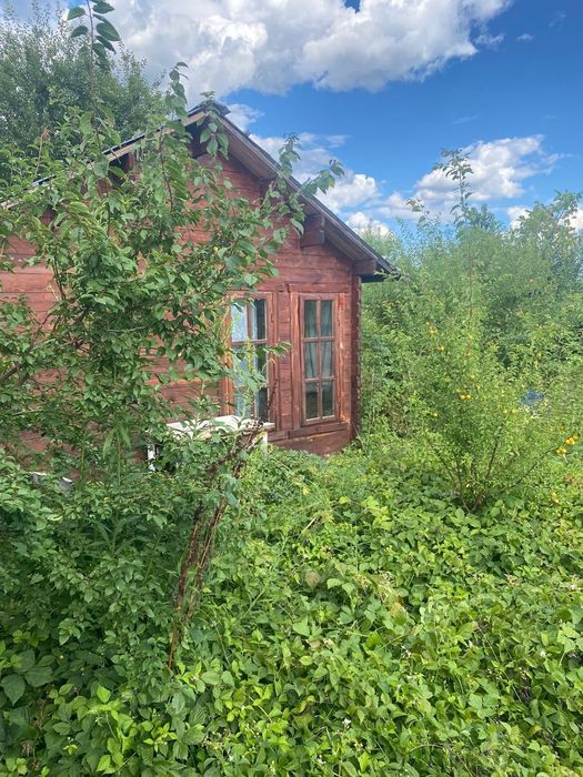 Pachet complet – container locuibil + căsuță lemn 24 mp + 5 panouri solare + generator + piscină