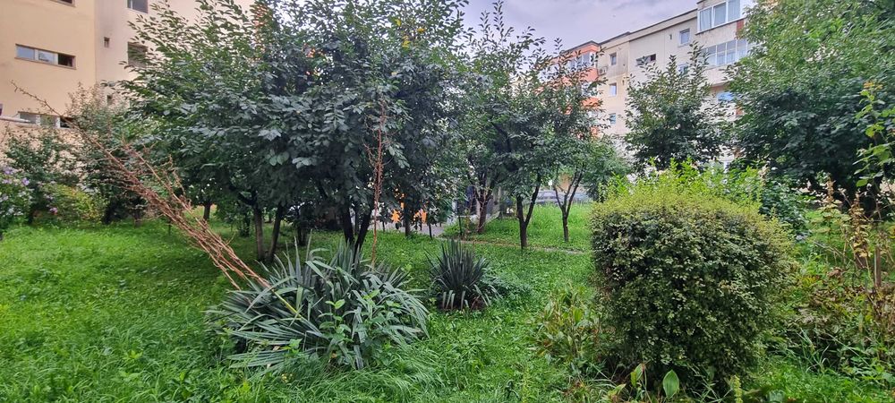 UNTOLD 2026 | 2 minute de CLUJ ARENA | Apartament 2 persoane