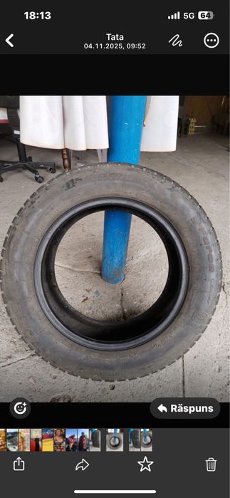 Anveope iarna BF Goodrich