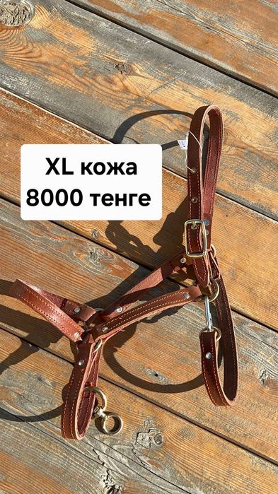 Недоуздок,  нокта