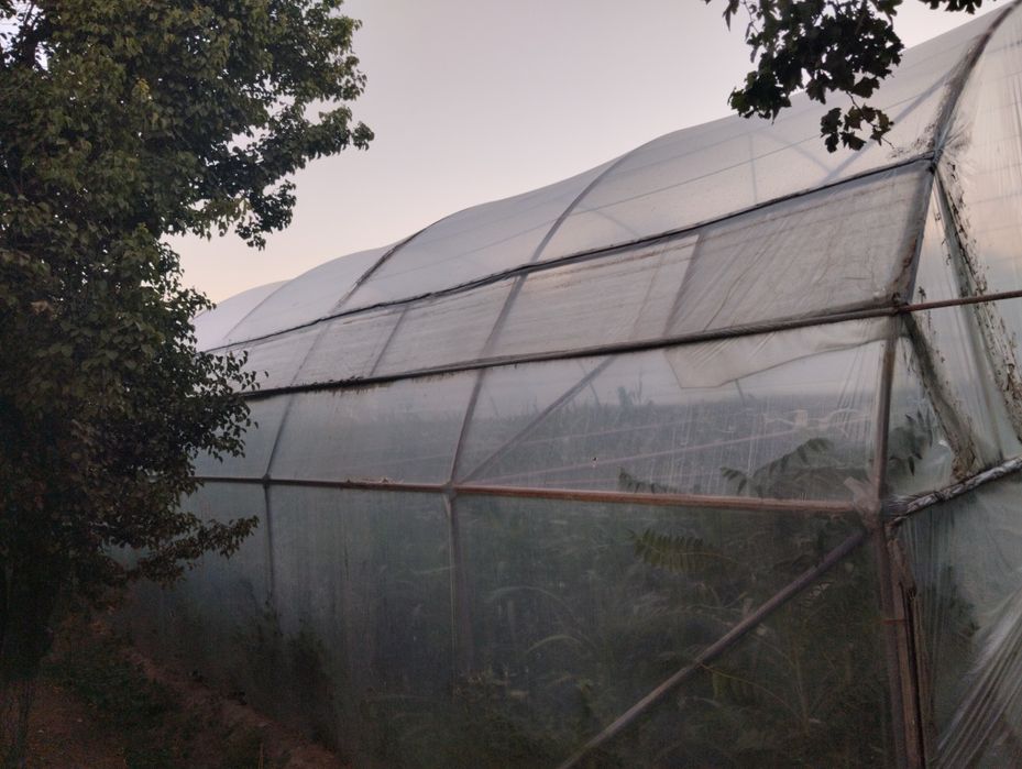 Теплиса сотилади 3.5 сотих