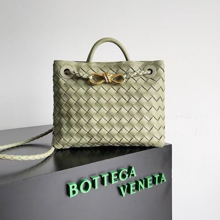 Сумка Bottega Veneta Small Andiamo