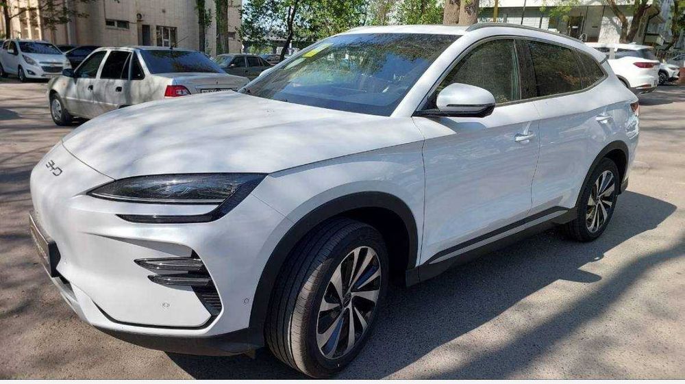 byd champion naxt yoki bolib tolashga