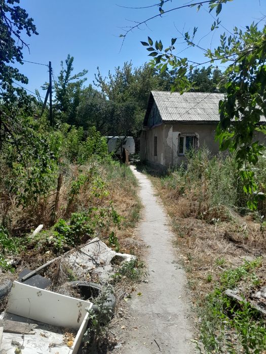 Дрова даром отдам