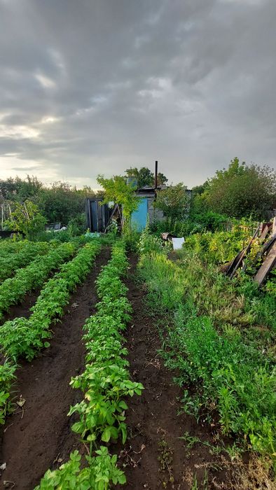 Продам дачу сад Здоровье