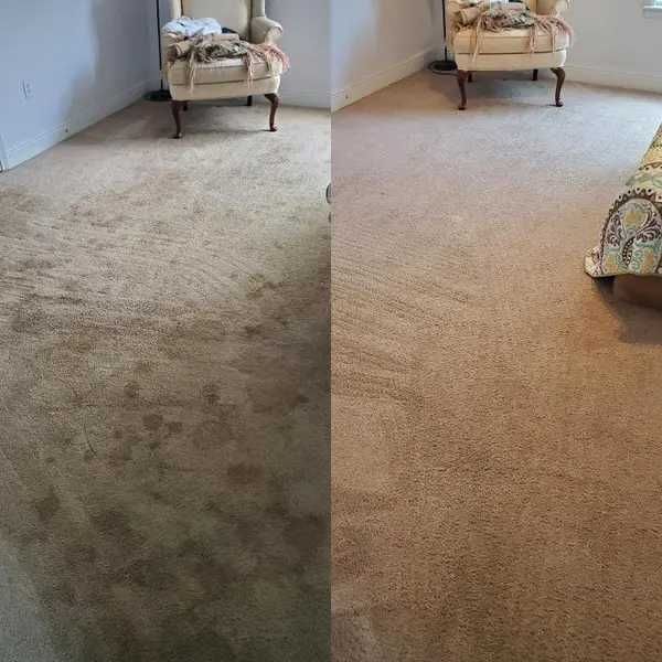 Curățenie Profesională Baia Mare | Deplasare Gratuită