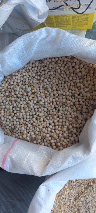 Mazare furajera 2lei ambalata