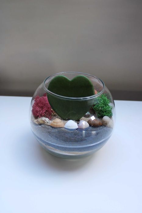 Флорариум с езеро - подарък за деня на влюбените, 8ми март, рожден ден