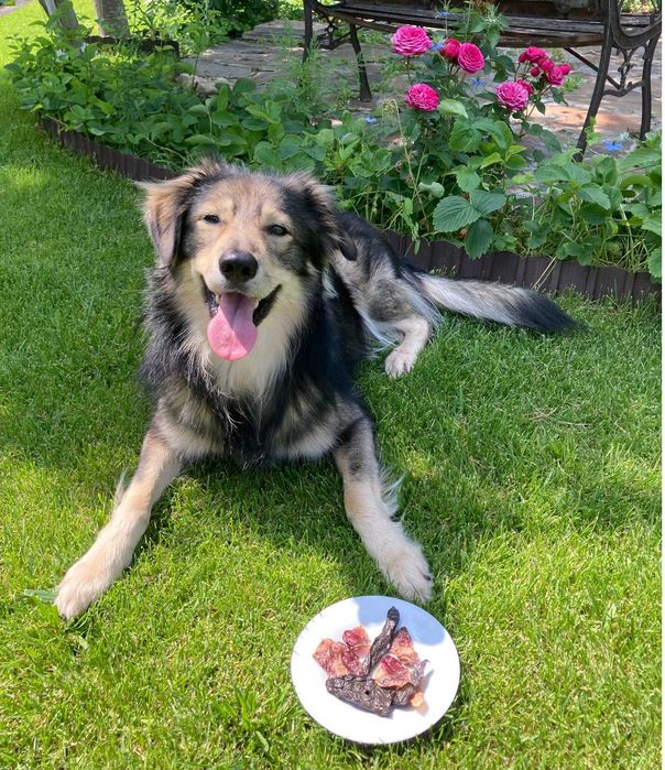 Gustari din carne deshidratata pentru caini, pisici 100% naturale